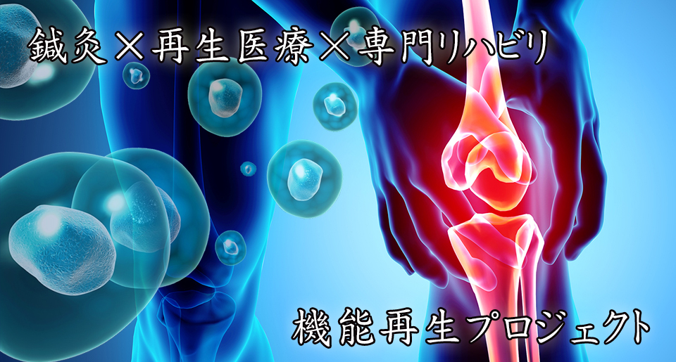 膝の再生医療と鍼灸トレーニング